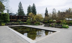 Real image from VanDusen Botanical Garden