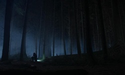 Movie image from Thompson Trail  (Stanley Park)