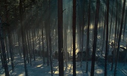 Movie image from Forest