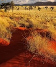 Poster Namibia