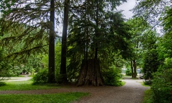 Real image from South Beach  (Buntzen Lake)