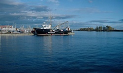 Movie image from Steveston Harbour