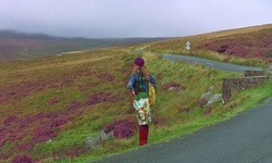 Movie image from Wicklow National Park - Bridge