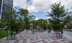 Real image from Berczy Park