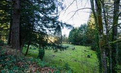 Real image from North Vancouver Cemetery