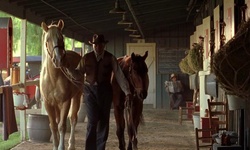 Movie image from Santa Anita Race Track