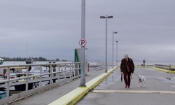 Movie image from Third Avenue Pier