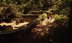 Movie image from Former Vancouver Zoo  (Stanley Park)