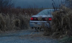 Movie image from Rannie Road (north of Koerner)