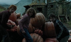 Movie image from Hagrids Hütte