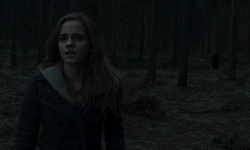 Movie image from Lakeside Woods