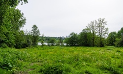 Real image from Champ près du lac (Deer Lake Park)