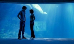 Movie image from Aquarium