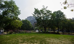 Real image from Berczy Park