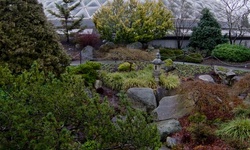Real image from Bloedel Conservatory  (Queen Elizabeth Park)