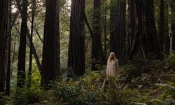 Movie image from Muir Woods National Monument