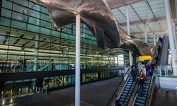 Real image from London Heathrow Airport (LHR)