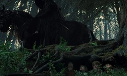 Movie image from Raízes das árvores