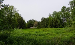 Real image from Champ près du lac (Deer Lake Park)