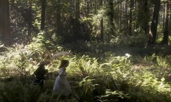 Movie image from Forest