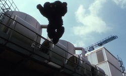 Movie image from Wonderland Weather (rooftop)