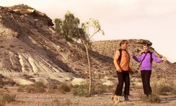 Movie image from Desert Train Tracks