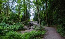 Real image from Bryne Creek Ravine Park