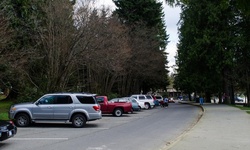 Real image from Second Beach Parking Lot  (Stanley Park)