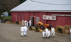 Movie image from Martin Road Farm