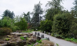 Real image from Jardin botanique VanDusen