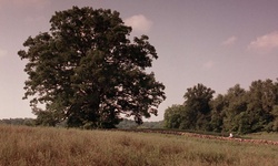 Movie image from Oak Tree