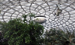 Movie image from Bloedel Conservatory  (Queen Elizabeth Park)