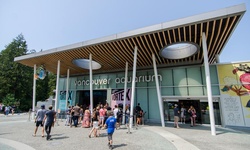 Real image from Acuario de Vancouver (Stanley Park)