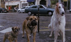 Movie image from Arc de Triomphe