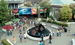 Movie image from Aqua World Aquarium