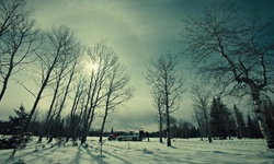 Movie image from The Woods (CL Western Town & Backlot)