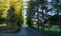Real image from Nord-Vancouver-Friedhof
