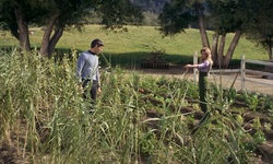 Movie image from Disney's Golden Oak Ranch