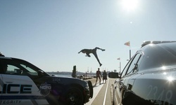 Movie image from Burrard Dry Dock Pier