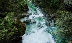 Real image from Twin Falls (Parque Lynn Canyon)