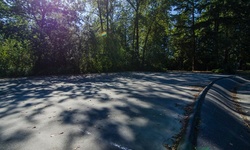 Real image from Swangard Stadium  (Burnaby Central Park)