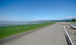 Real image from Iona Beach