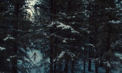 Movie image from The Woods  (CL Western Town & Backlot)