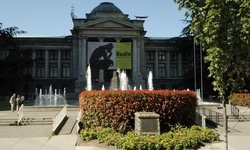 Real image from Vancouver Art Gallery
