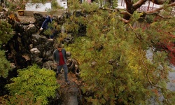 Movie image from Dr. Sun Yat-Sen Chinese Garden