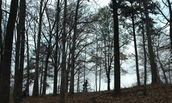 Movie image from Stone Mountain Park