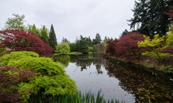 Real image from VanDusen Botanical Garden