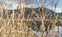 Movie image from Widgeon Valley National Wildlife Area