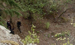 Movie image from Gillies Quarry