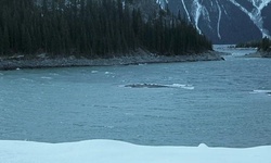 Movie image from Alkali Lake Dam